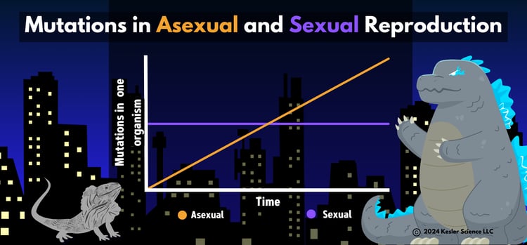 AsexualvsSexual