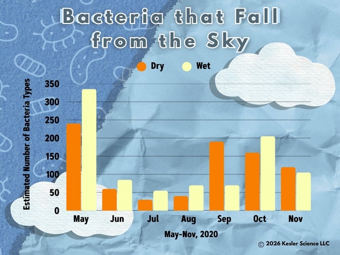 Bacteria Live in Sky - color
