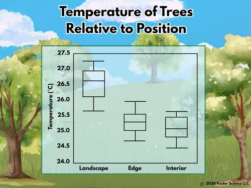 BoatLength2-26 Color-3