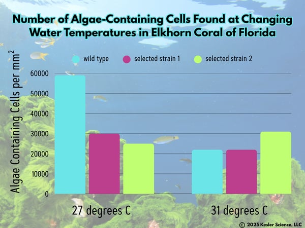 CoralReefsAlgae 9-18-25 color-1