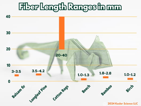 Fiber length (1)