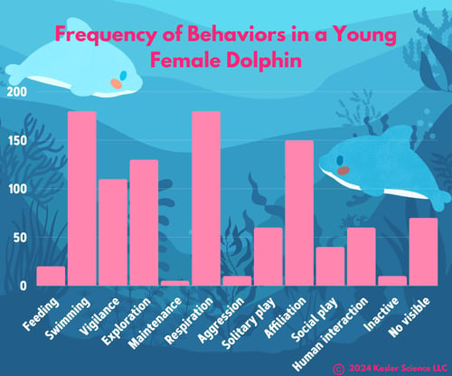 Frequency of Behaviors in Young Female Dolphins(1)