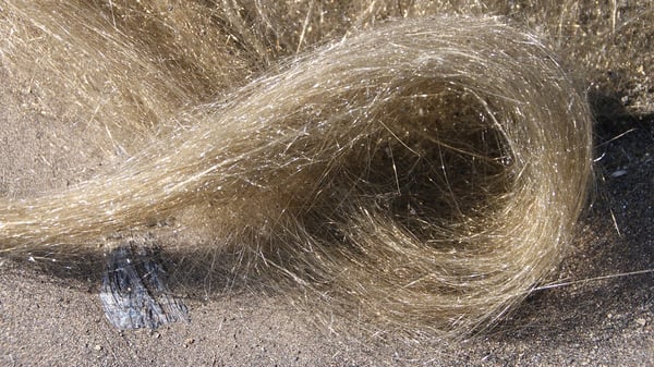 HAVO_20120608_Pele-s-Hair-Curly