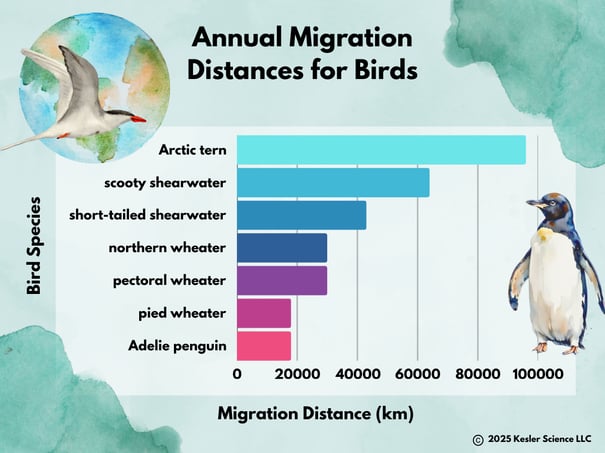 Migrations 10-16-25 Color
