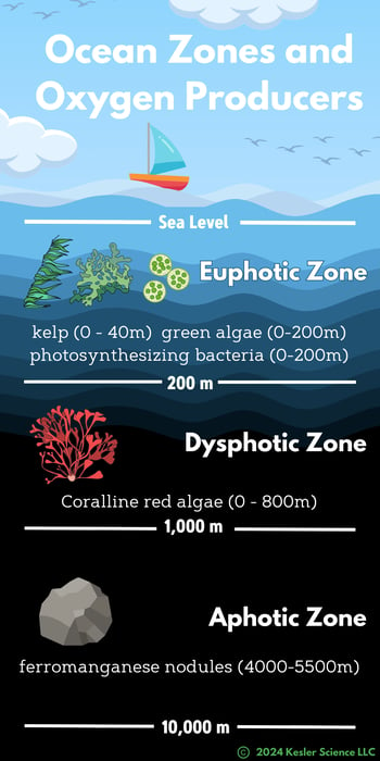 Ocean Zones (5 x 10 in)