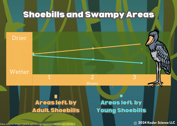 Shoebill Environment