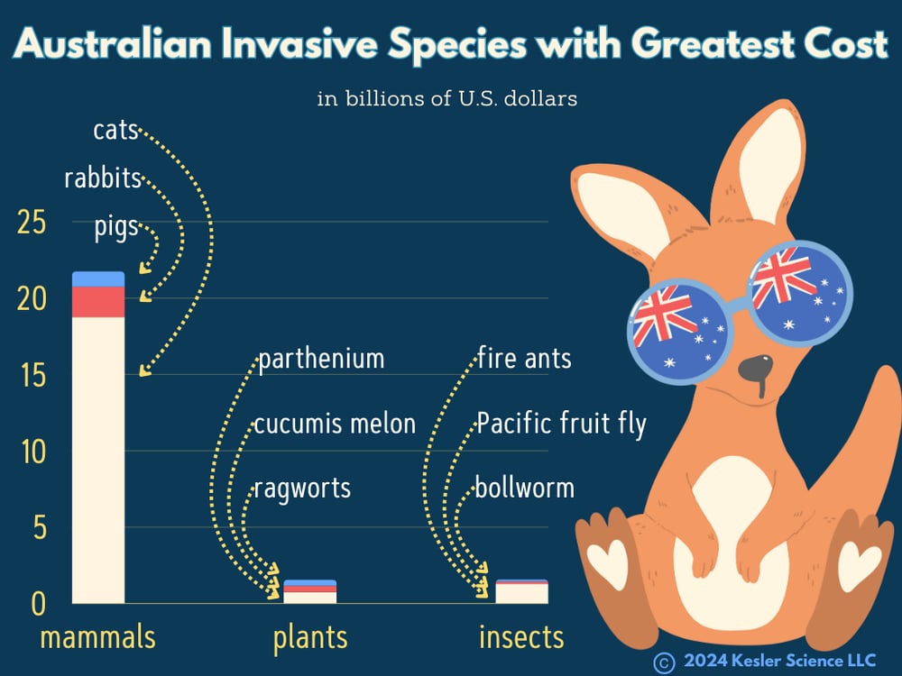 Don't eat the cane toad! - Kesler Science Weekly Phenomenon and Graph