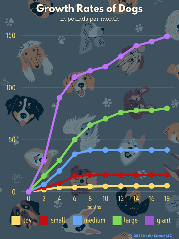 Dogs with Hard-Working Genes - Kesler Science Weekly Phenomenon and Graph