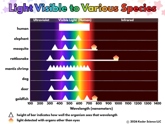 VisibleLight - Color