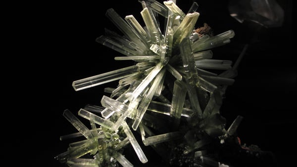 WLA_hmns_selenite