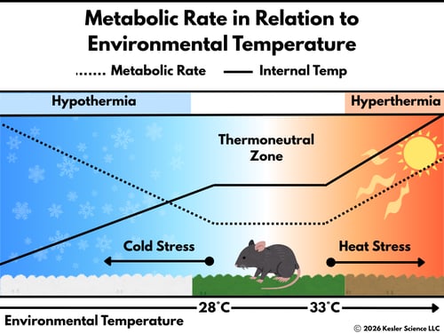 WildWinterAdapt-2-13-2026-2