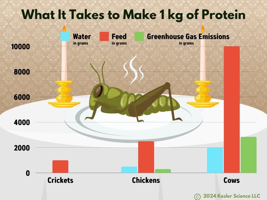 Let them eat... bugs! - Kesler Science Weekly Phenomenon and Graph