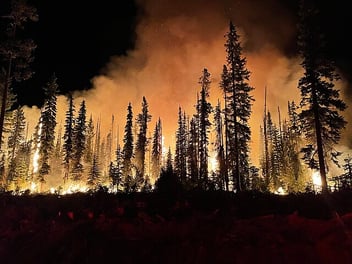 Wildfire
